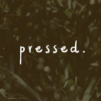 Adam - Pressed