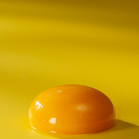 Adam - I am an egg yolk