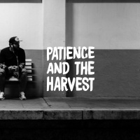 Paul - Patience  The Harvest