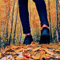 Adam - Entering a New Season