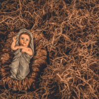 Adam - The Weirdest Maternity Ward Ever