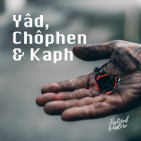 Adam - Yâd, Chôphen  Kaph