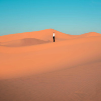 Alan Dickinson - Battles