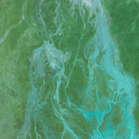 Adam - The Holy Spirit