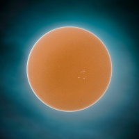 Adam - A Story of Trust