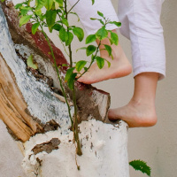 Adam - The Risk of Meeting Jesus