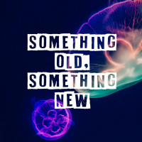 Adam - Something Old, Something New