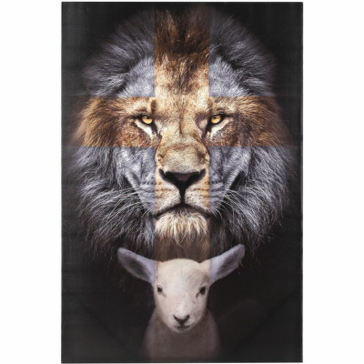 Christian Life Church Shipley