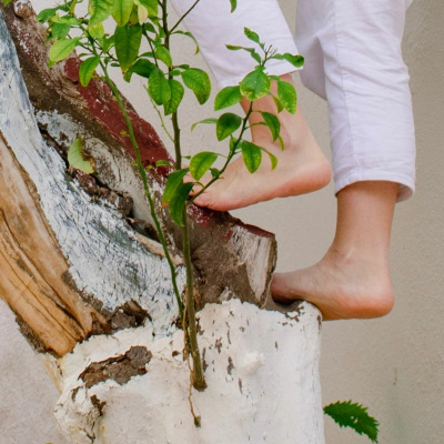 Christian Life Church Shipley