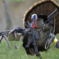 Stuffing for your ears