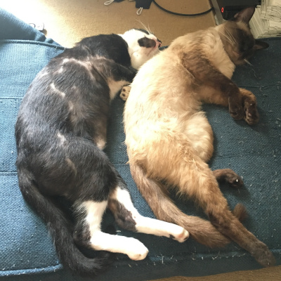 F1 Look Into The Backside Of F1