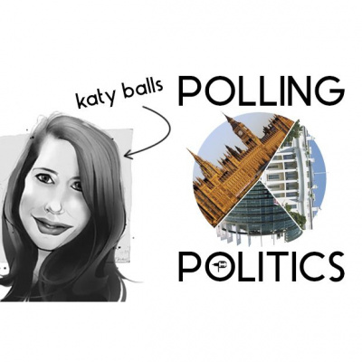 Polling Politics