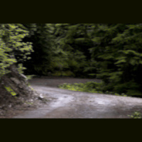 The Road Less Traveled