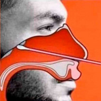 103. El futuro que nos están preparando