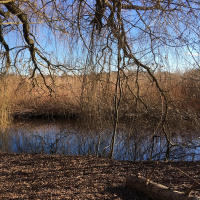 3. Luftens akrobater