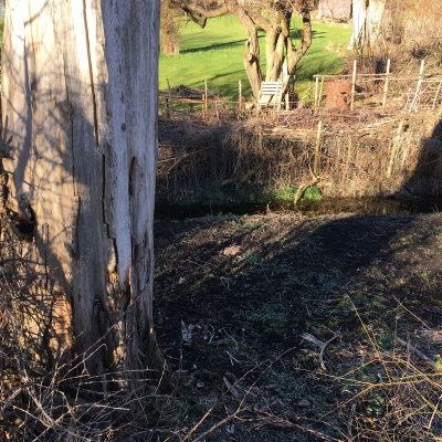 Fortællinger Fra Mosen