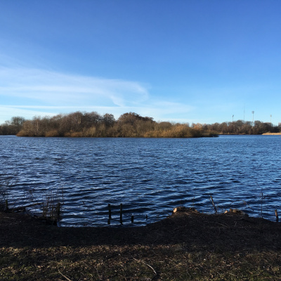 Fortællinger Fra Mosen