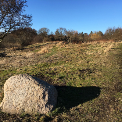 Fortællinger Fra Mosen