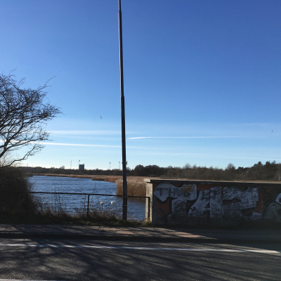 Fortællinger Fra Mosen