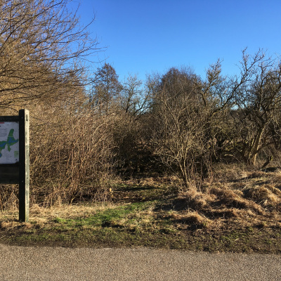 Fortællinger Fra Mosen