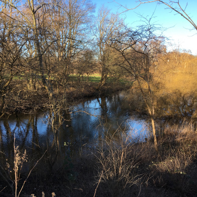 Fortællinger Fra Mosen