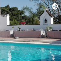  Business Opportunity 