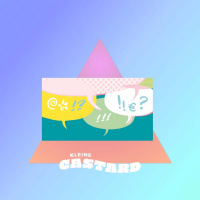 Kleine Castard: De enquete van Aimée