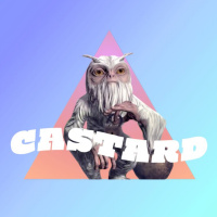 Castard: Harry Potter Wizards unite