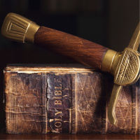 Rise and Fall of Bible Believers