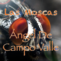 Las moscas by Ángel De Campo Valle