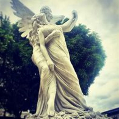 Narraciones De Un Burro Y Mas