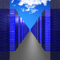 4 Service or System Generic Application Fields