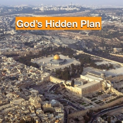 New Life Fellowship Podcast