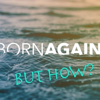 New Life Fellowship Podcast