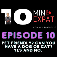 10min Expat Thailand EP10: Thailand Pet Friendly? Can you have a dog or cat? Yes and No. 