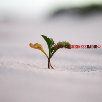 Cultivating Growth Mindset In Your Workforce And Why Artisan Training Is Crucial For Economic Growth