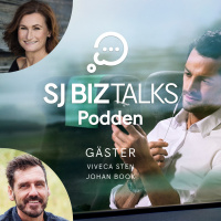 6. Viveca Sten  Johan Book