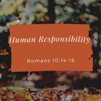 Human Responsibility