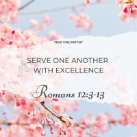 Serve One Another With Excellence