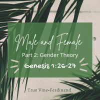 Male amp Female: Part 2