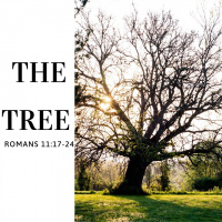 The Tree