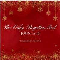 The Only-Begotten God