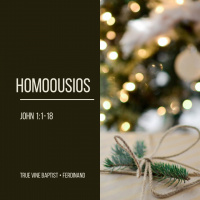 Homoousios