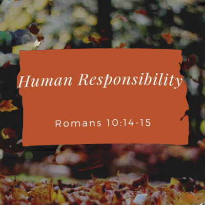 True Vine Baptist Church