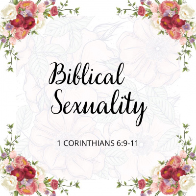 True Vine Baptist Church