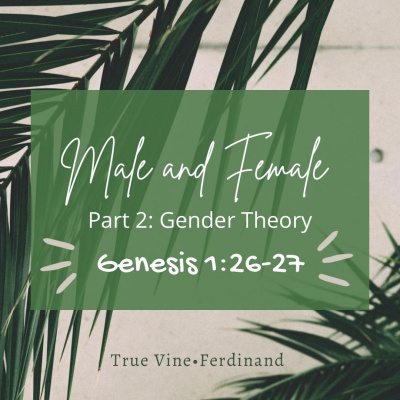 True Vine Baptist Church