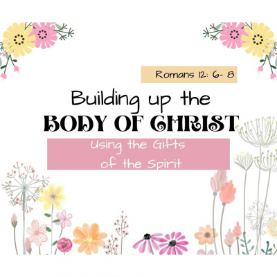 True Vine Baptist Church