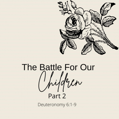 True Vine Baptist Church