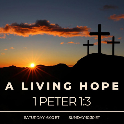 True Vine Baptist Church