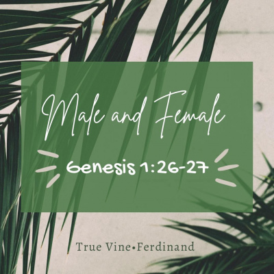 True Vine Baptist Church